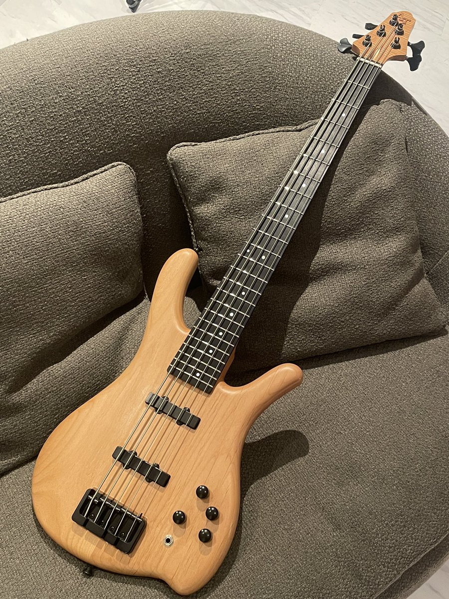 Art Tech / Custom Bass 5st Passive mod. 1992 幻のブランド、Art