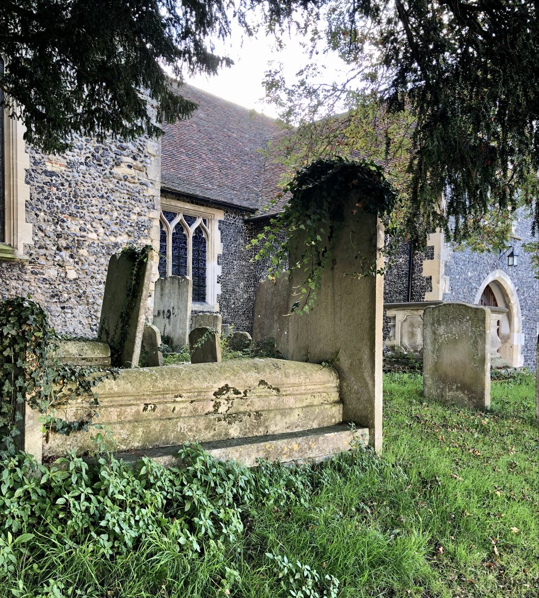 Karenlourhodes's tweet image. I touch cold stone, wondering what moulders beneath the grey lichen covered slab, epitaph eroded by weather and time. Not warm soft skin and pale blue eyes but yellowed #bones, brittle and ageing, feeding the earth with her goodness. But her heart will always be mine ❤️
#vss365