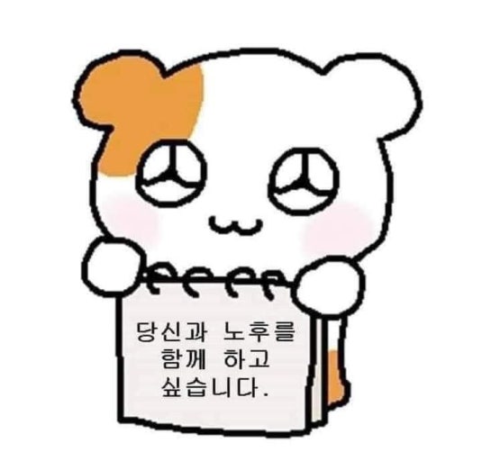 젊어서노새🐴 tweet media