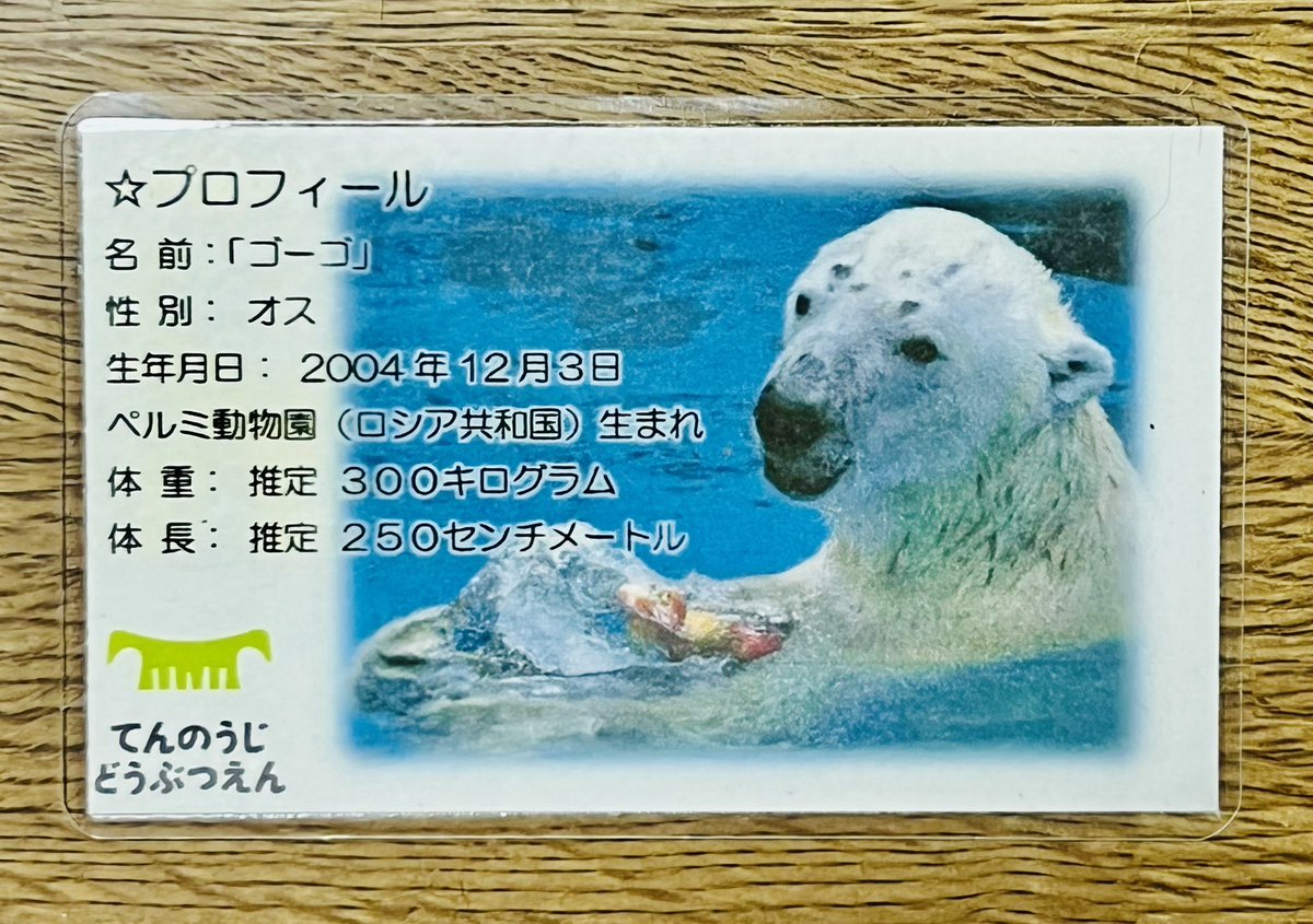 くまとねこ (@bear_87cat) / Posts / X