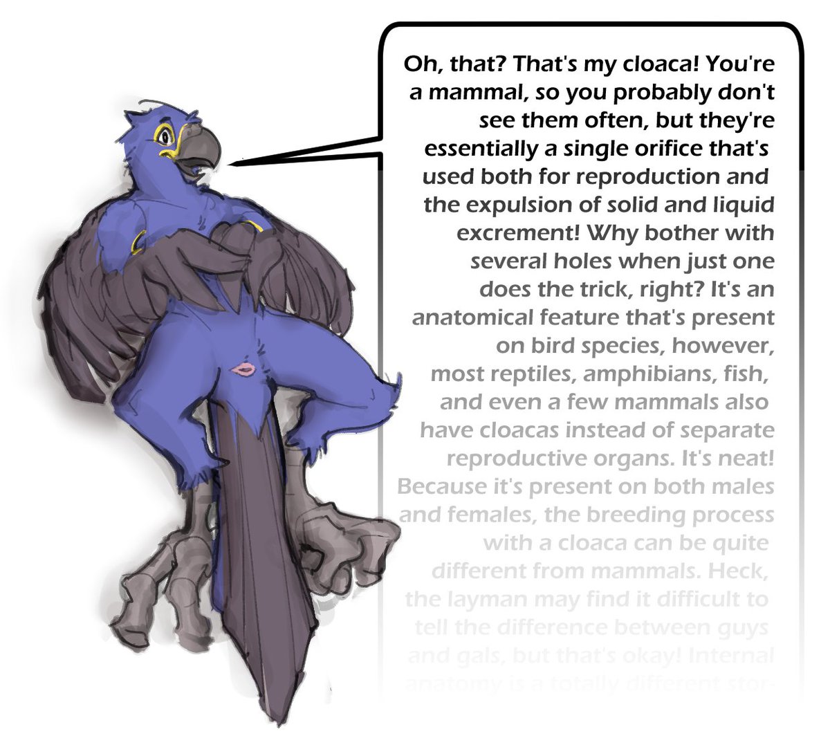 Jaded (but dirtier) tweet media