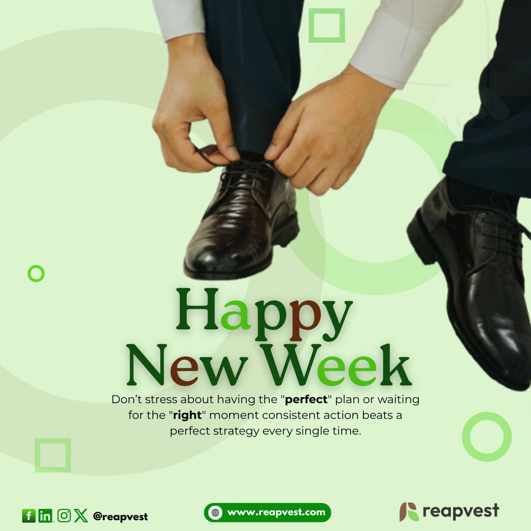 reapvest's tweet photo. Happy New Week!๐
Stop waiting for the "perfect" time, Mondays aren't about being perfect; they are about being present. Small, boring wins stacked on top of each other create massive results.
Just pick up the first stone. And..
Go get โem!
#Newweek #Perfectstrategy https://t.co/CCXLw7EWQR