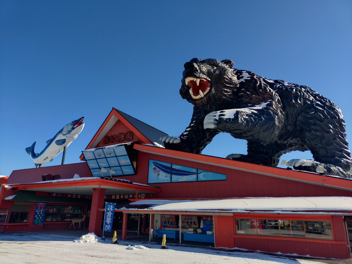 0924Crazy's tweet photo. 旅行2日目！！
クマ牧場🐻
熊好きとしては外せないよね😀
ヒグマはデカい🫨
ランチはかにめし🦀
カニ最高🤤
大満足の旅行でした！！
＃旅行 ＃登別 ＃クマ牧場 ＃ヒグマ ＃白老 ＃かにめし https://t.co/7mnoicawVV