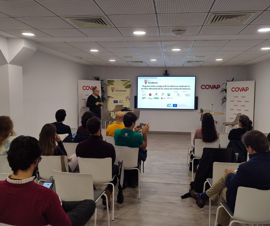 LScrubsnet's tweet photo. 🌿Jornada de transferencia del proyecto en el Valle de Los Pedroches(Córdoba), celebrada en @COVAP

Emilio De León @Covap, Vicente Rodríguez @UnivCordoba, André Oliveira @Uevora, Javier Alonso Ecohabitat, Lorena Gómez @IRNAS_CSIC y Gerardo Moreno @infouex
https://t.co/liMkS5x7Wd https://t.co/zxeiFQm15G
