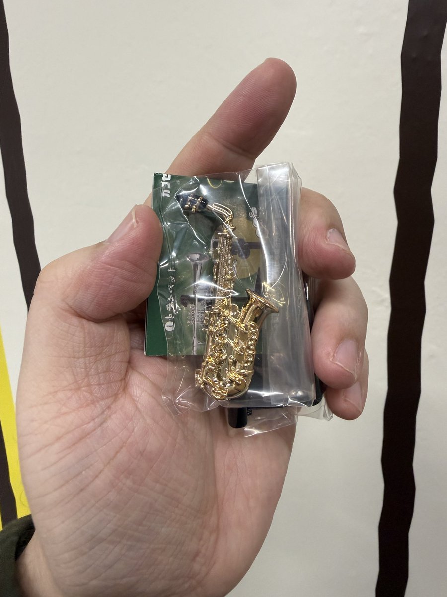 なんか似たようなサックス持ってる気がするけど捨てた気もする