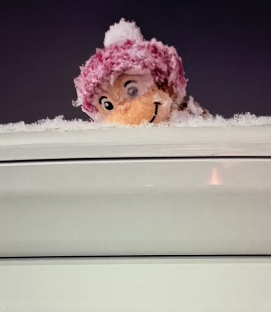 P0KEM0NMATCHING's tweet photo. きのうは雪が積もったよ！ https://t.co/6PPZDRPRa4