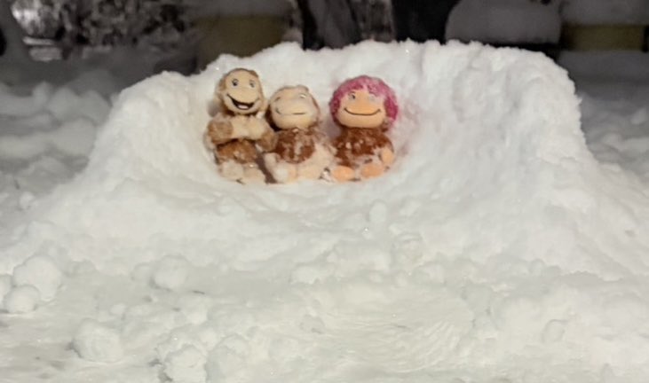 P0KEM0NMATCHING's tweet photo. きのうは雪が積もったよ！ https://t.co/6PPZDRPRa4