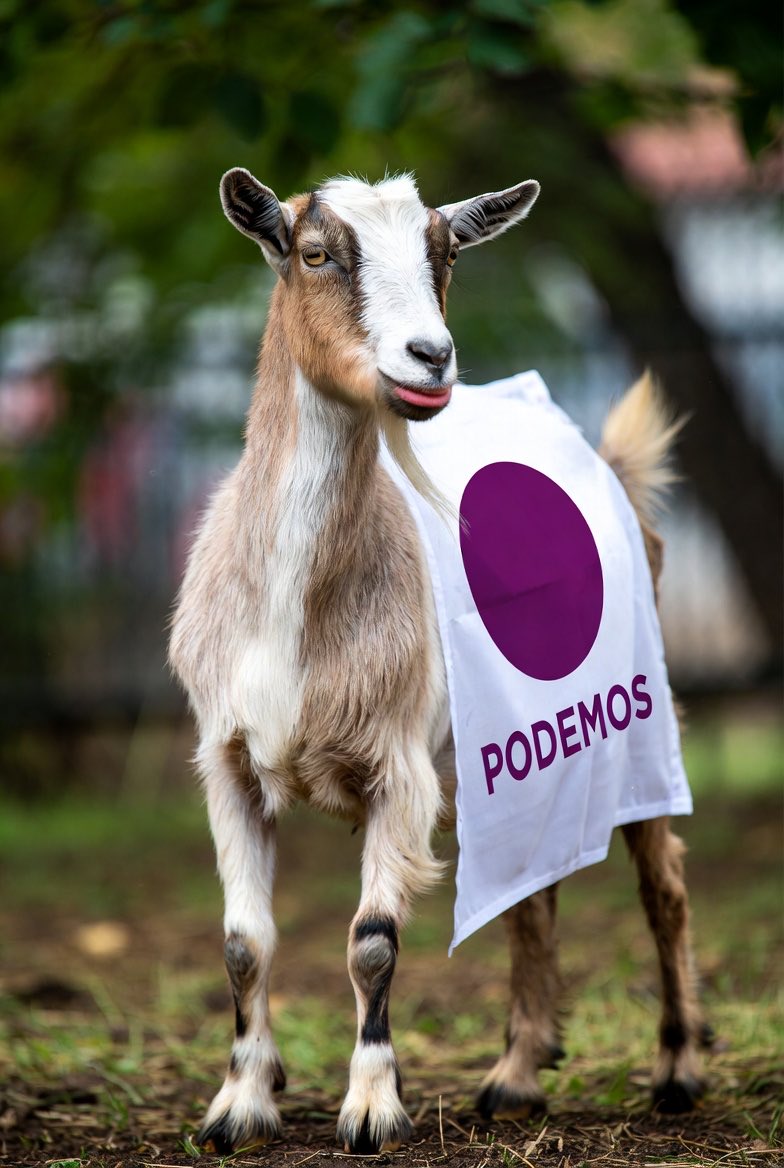 RicardoAngelRF's tweet photo. @SusieBobDylan Te das cuenta, que las personas votan? tu los señalas?? Llamas a los mismos que votaron a podemos sacos de mierda? 😂😂😂 https://t.co/dpEAOrx2U1