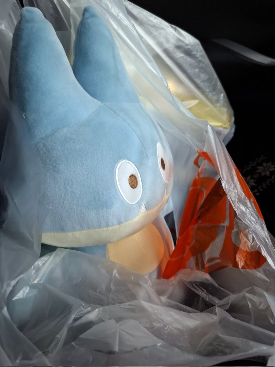 最近の収穫✨
ゴンベ率高い😑
#ゴンベ