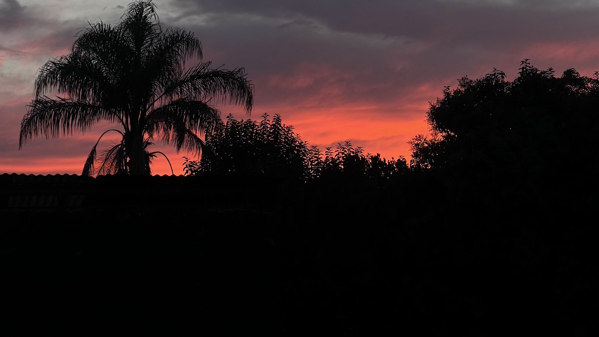 𝒂 𝒍 𝒂 𝒏 𝒏 𝒏 ⚡️ tweet media