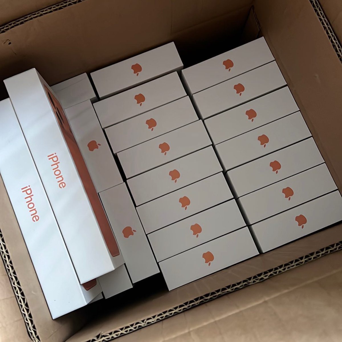 arenas_cuevas's tweet photo. 転売しないって
約束できる人にプ レゼント🎁😳

『iPhone 17 Pro』
抽選で10名様に

【応 募方法】
・フォロー
・いいね
・リポスト

締切：2月13日 https://t.co/YvKTndMpEF