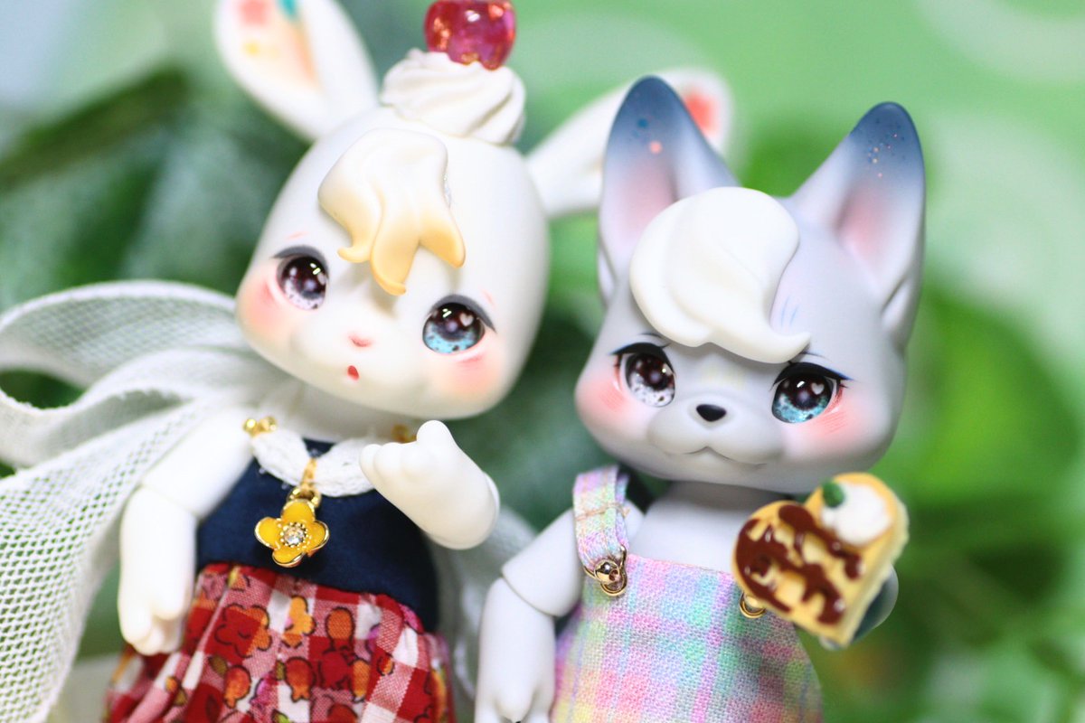 まち Su'Zoo🌗ミニチュアモールベア🧸 (@machisuzu96) / Posts / X