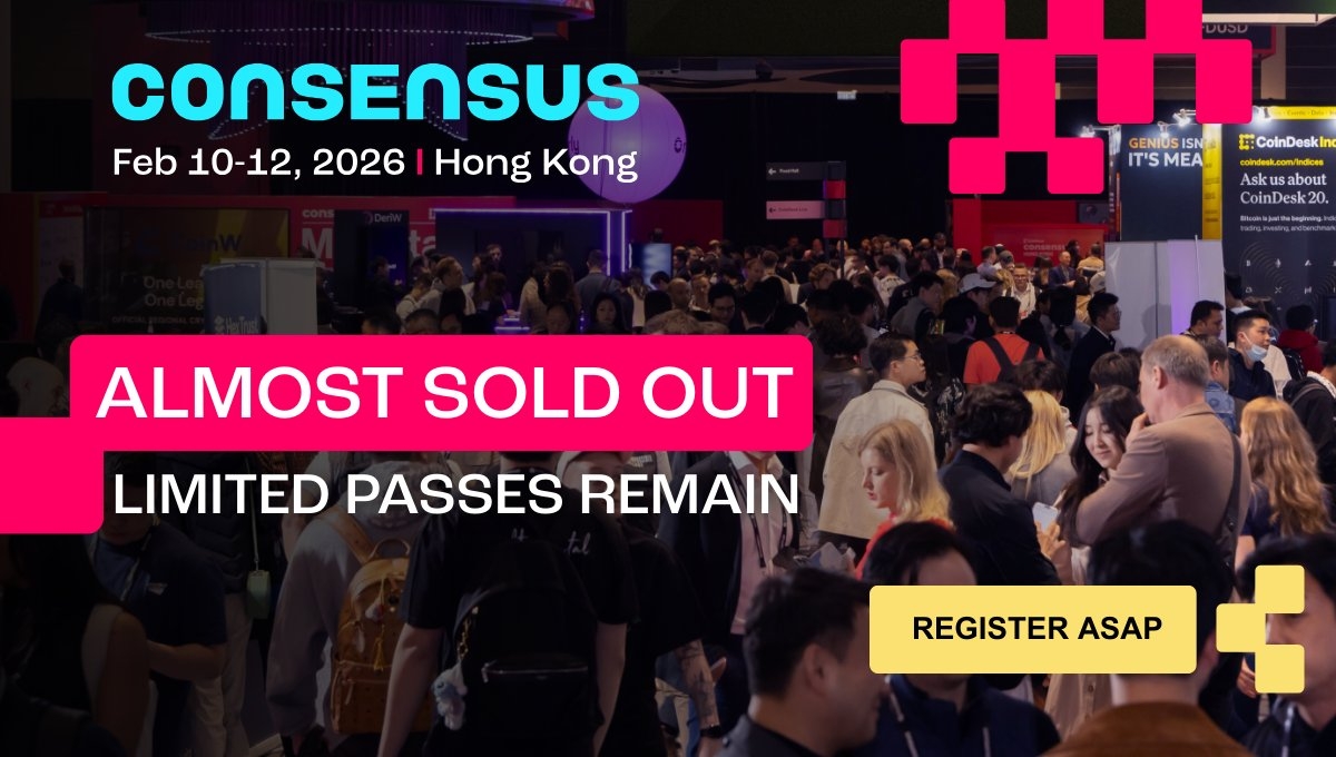 ShowUp 💎 tweet media