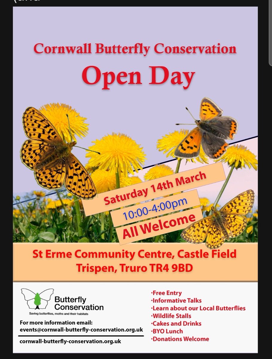 Cornwall Butterfly Conservation tweet media