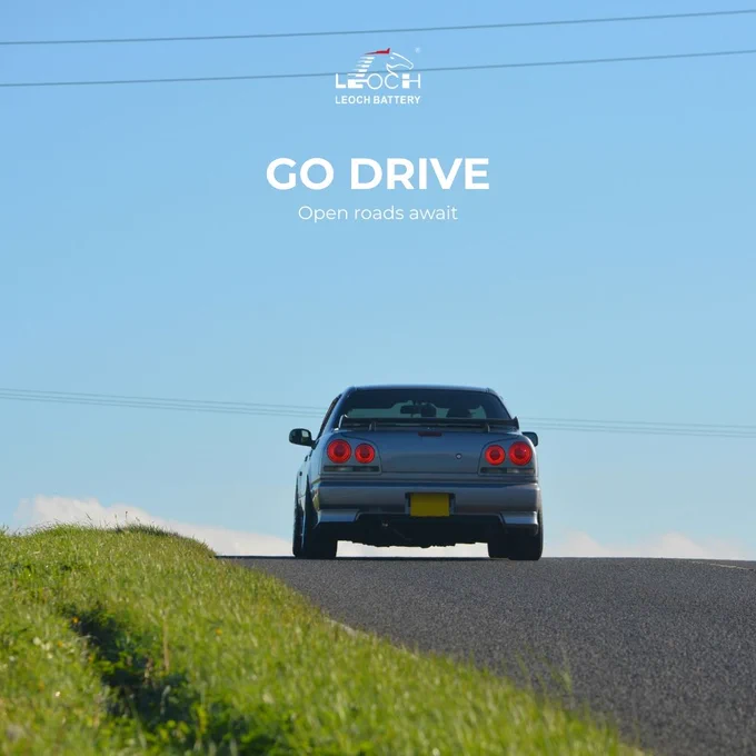 go drive with leoch battery