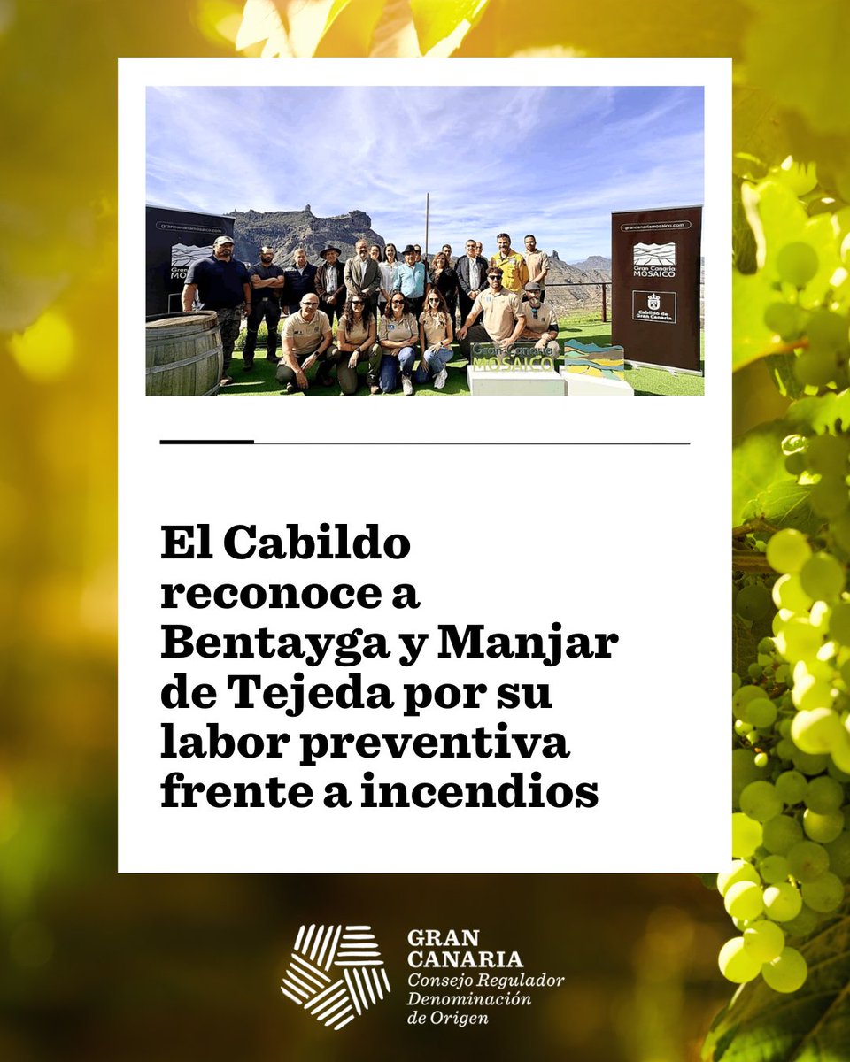 DOGranCanaria's tweet photo. 👏 Desde Vinos de Gran Canaria felicitamos a Bodegas Bentayga y a la Quesería Manjar de Tejeda por el reconocimiento Gran Canaria Mosaico, un merecido premio a la colaboración entre viticultura y pastoreo que cuida la isla.

➕ info: https://t.co/1RiRkZaH0l

#VinosdeGranCanaria https://t.co/jZ4BQyzT5t