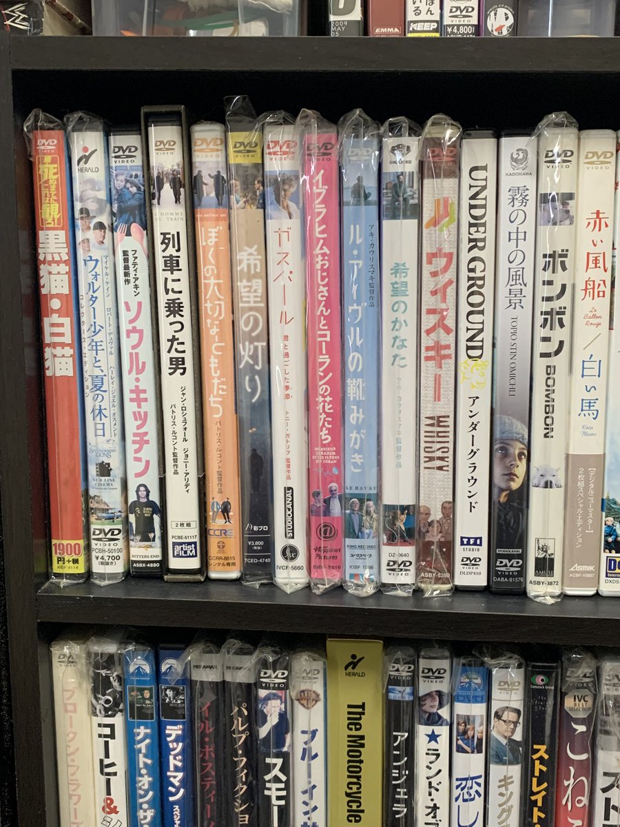 サムライショーン tweet media
