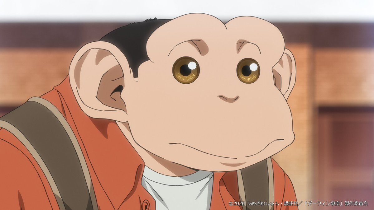 旭プロダクション公式 tweet media