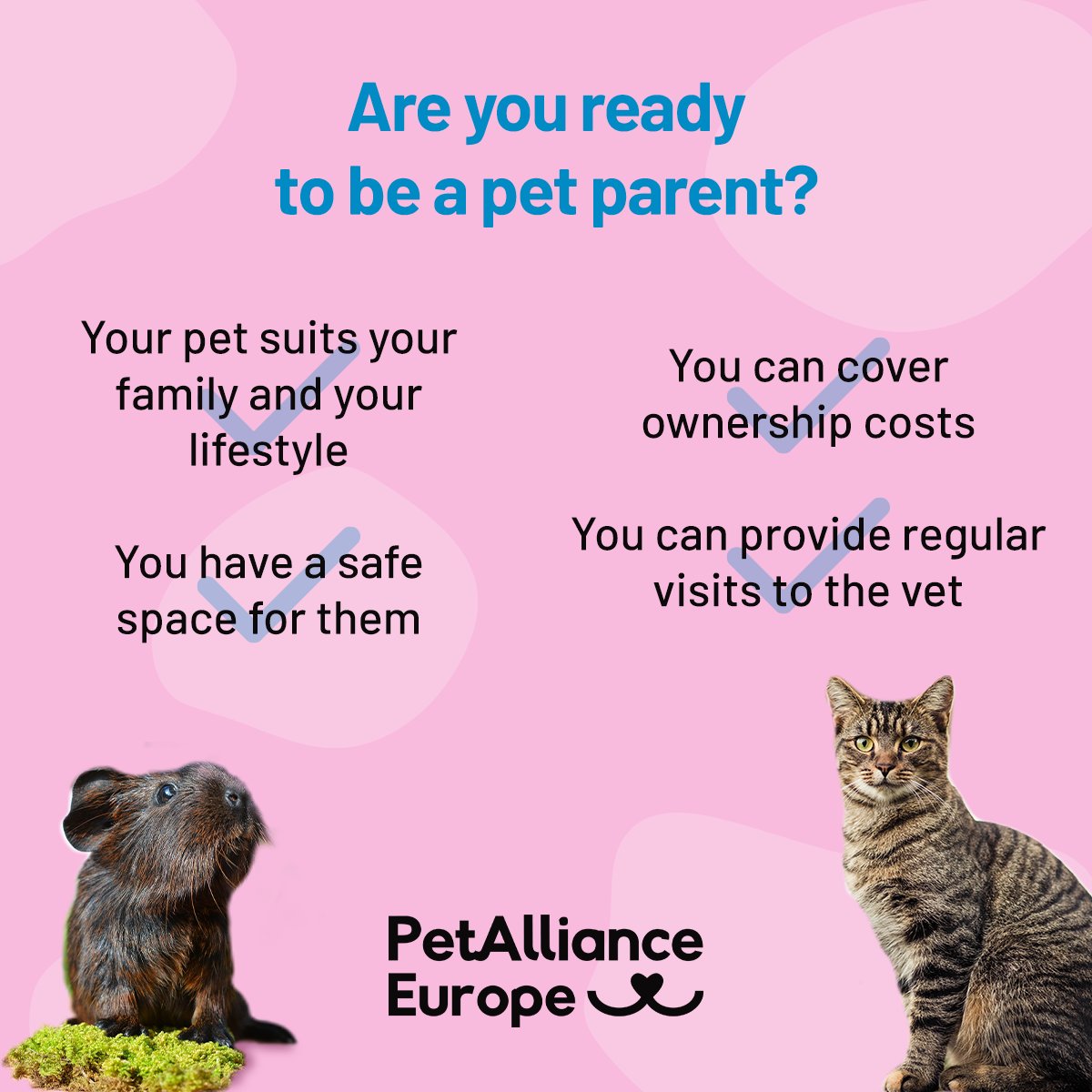 PetPowerEU tweet media