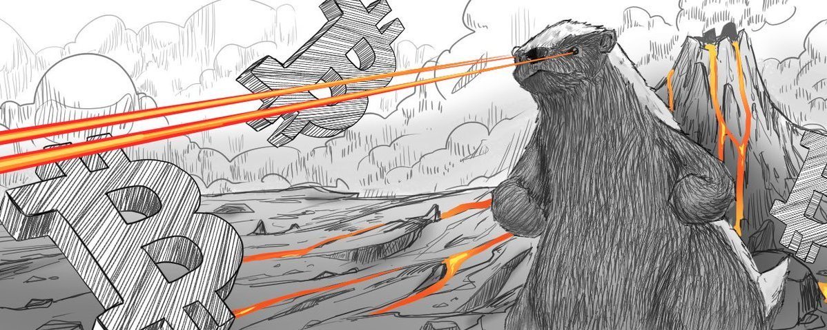 greendevvv's tweet photo. the badger is the mascot of bitcoin not the mascot of money

ill be paying dex at 20k. https://t.co/5W9kK0inS7