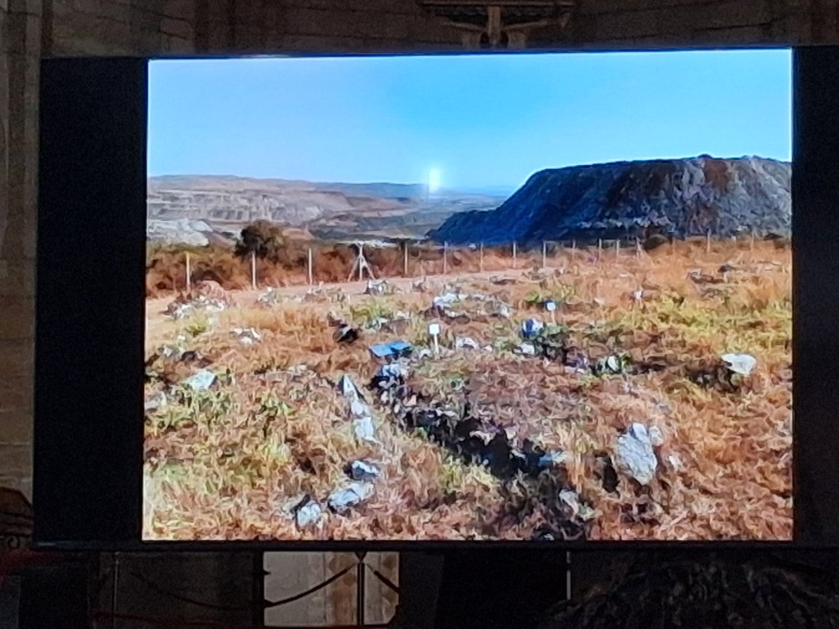 Tafadzwa tweet media