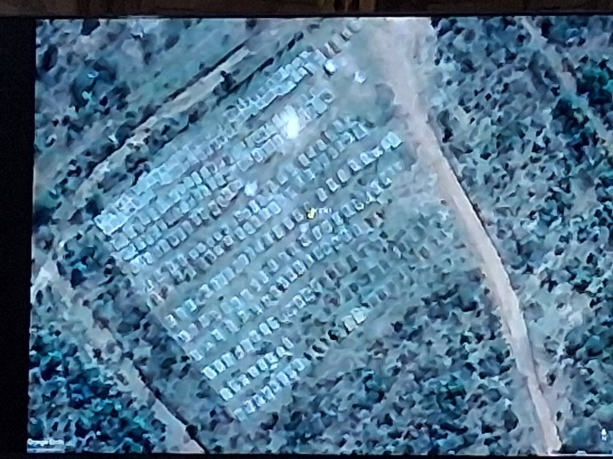 Tafadzwa tweet media