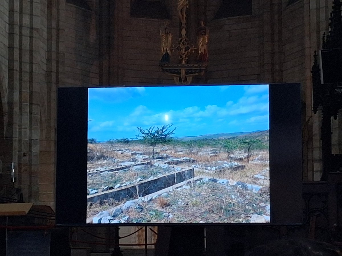 Tafadzwa tweet media