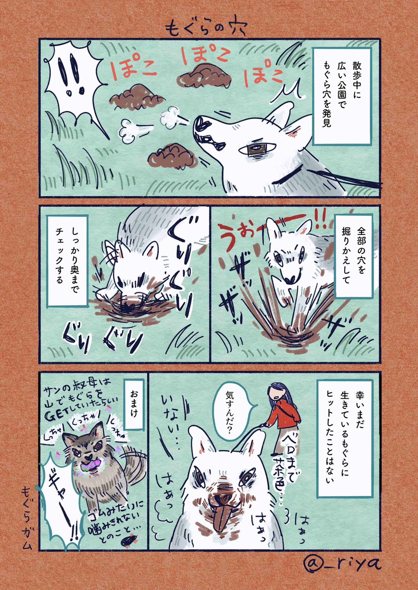 デカい狼犬との日常🐺

「もぐらの穴」 