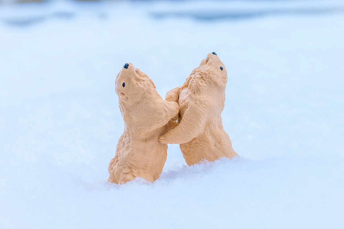 Insomnia3D (@ST_Insomnia) / Posts / X