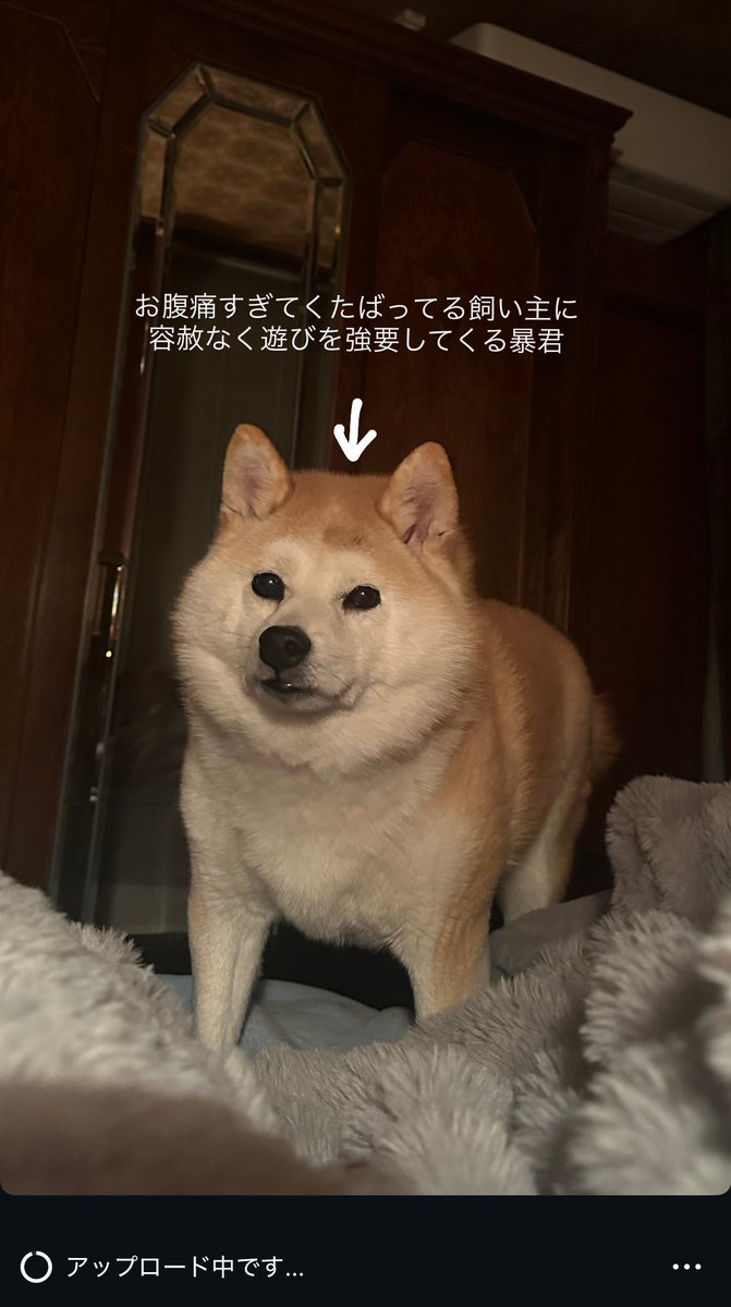 まいろ(南3ホール な61a) (@milovatam) / Posts / X