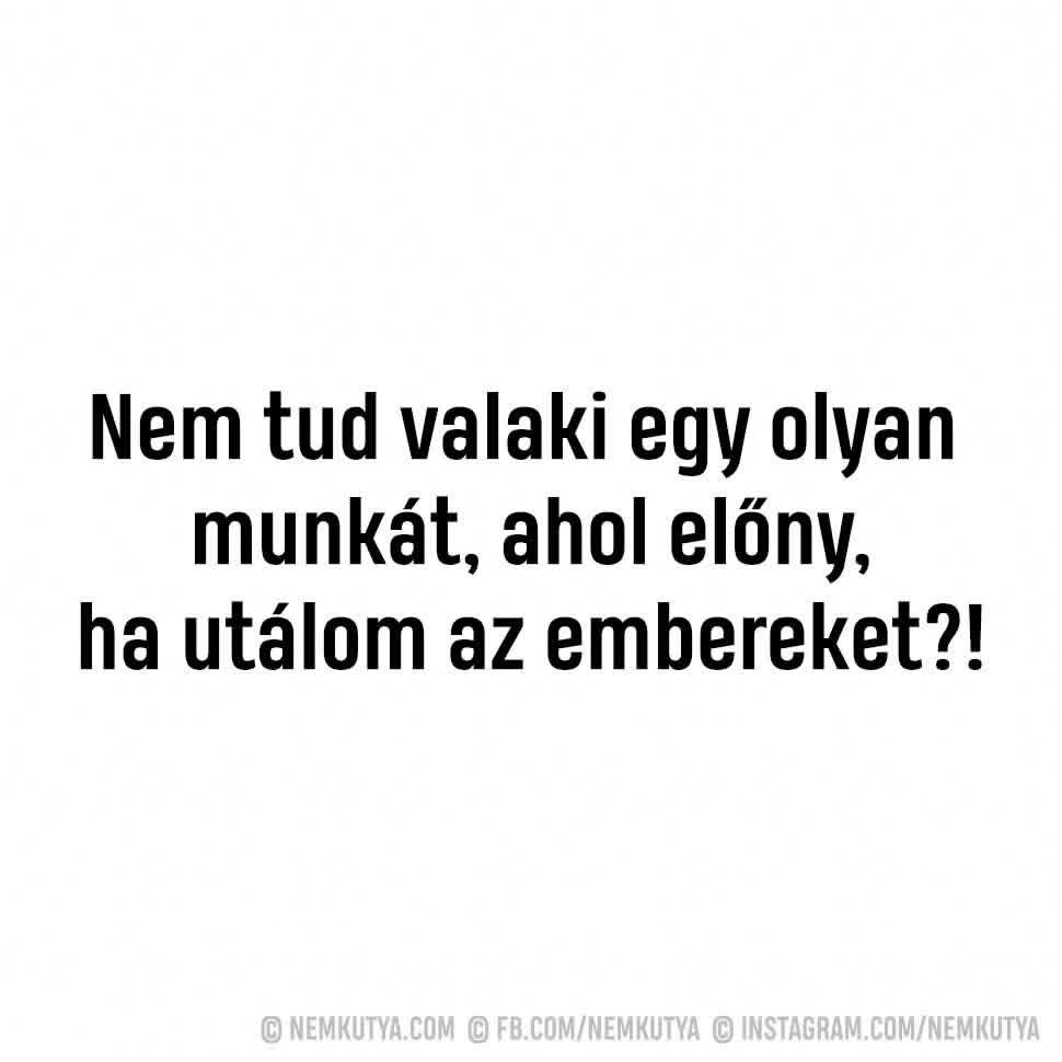 Gábor Molnár tweet media