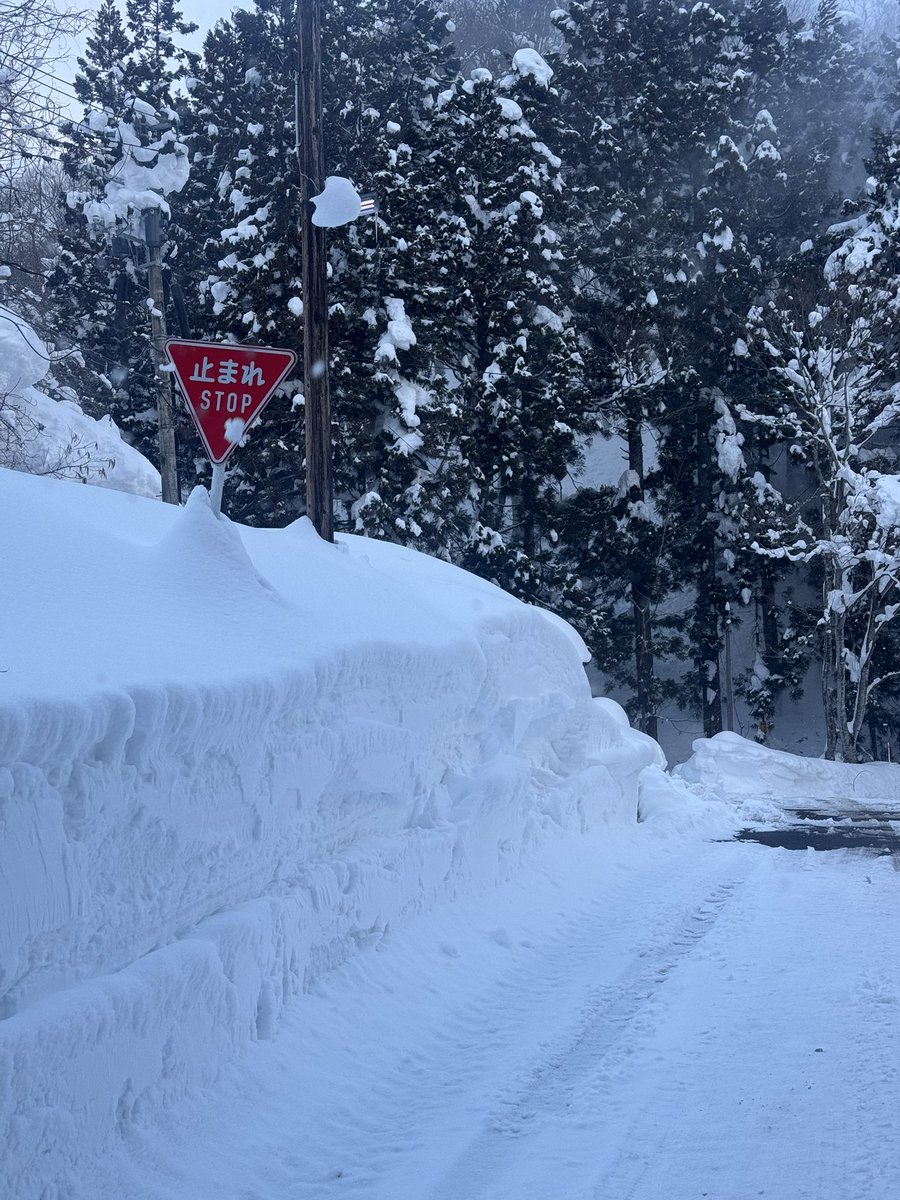 baraco01's tweet photo. 斯様な道路事情ですが、

確実に一時停止して安全運転で参りましょう！ https://t.co/7OrFRYWU0G