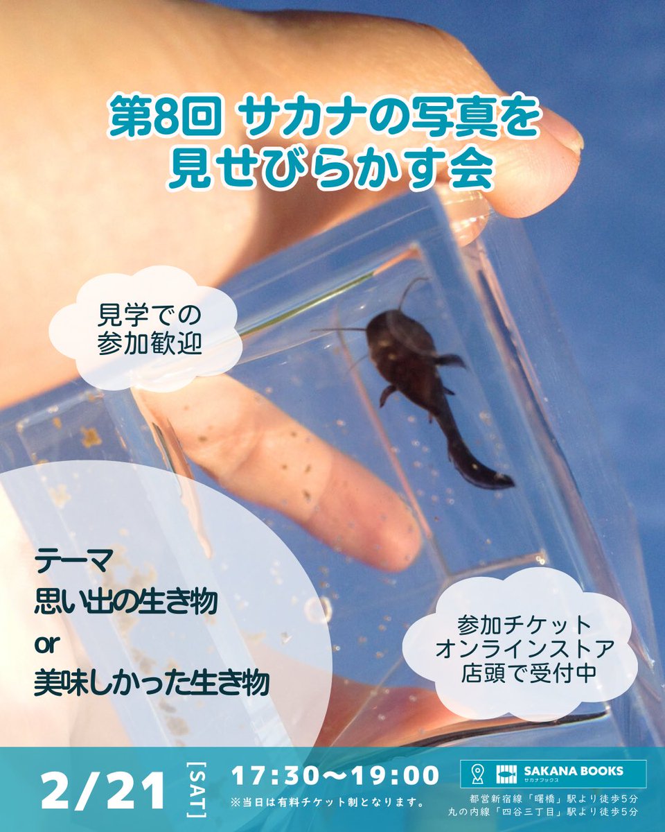 SAKANA BOOKS（サカナブックス）｜サカナに特化した本屋𓆝𓆟𓆜𓆞𓆡