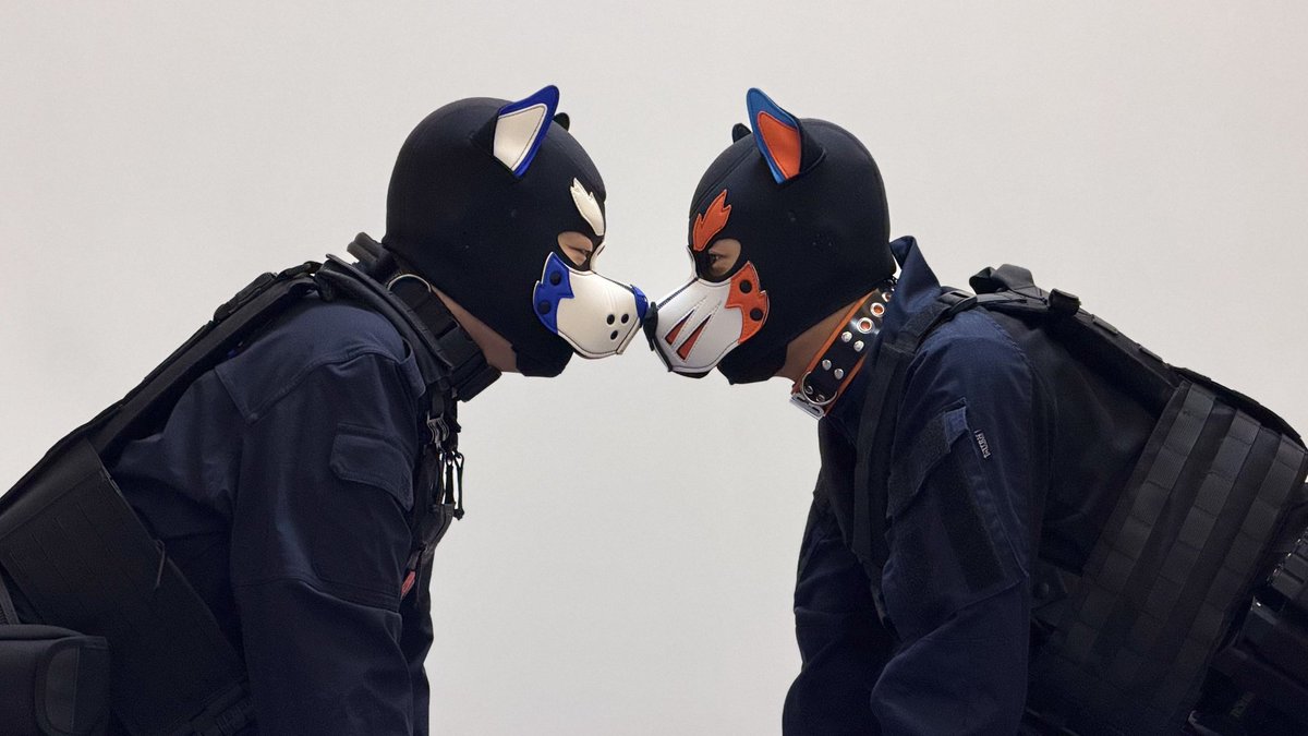 小胖_Aurora🐾 tweet media