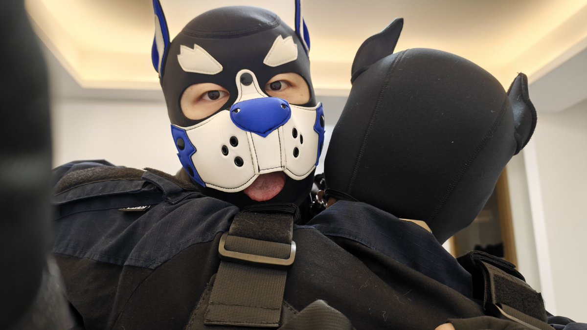 小胖_Aurora🐾 tweet media