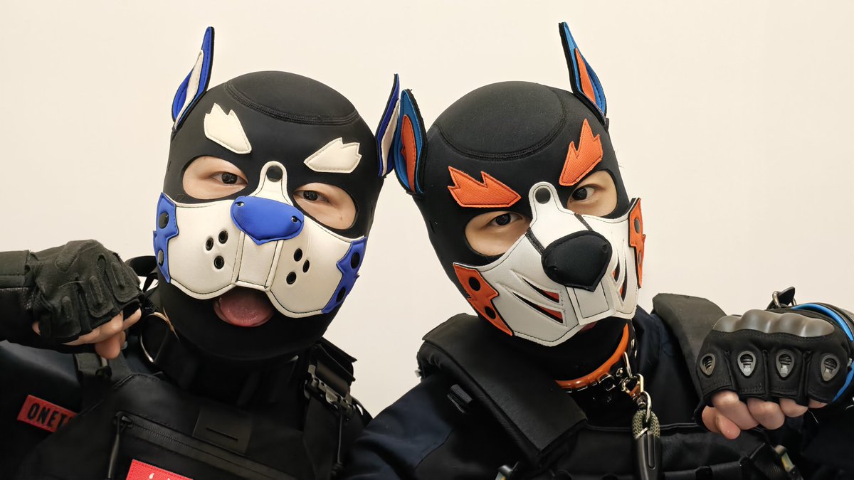 小胖_Aurora🐾 tweet media