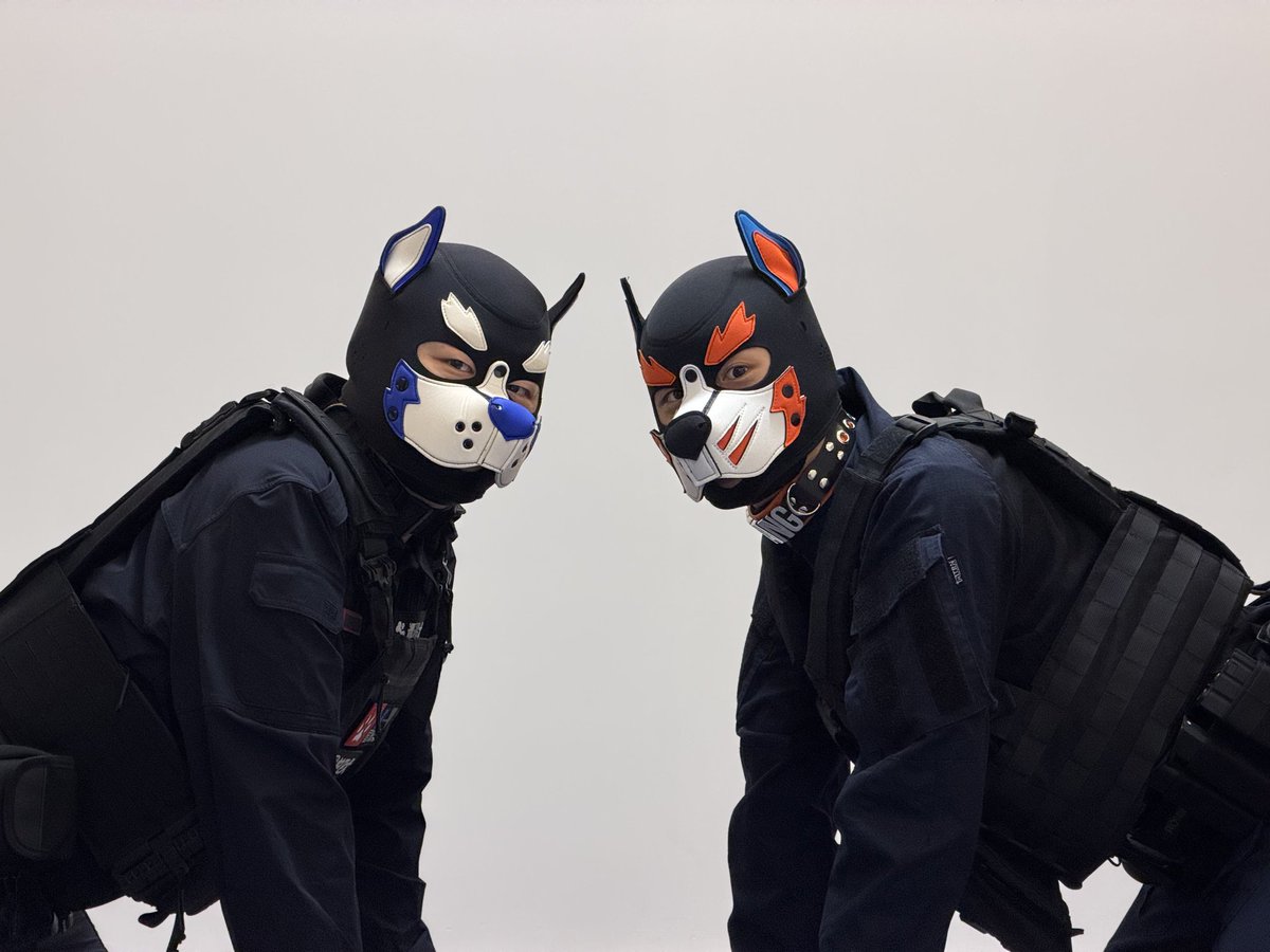 小胖_Aurora🐾 tweet media