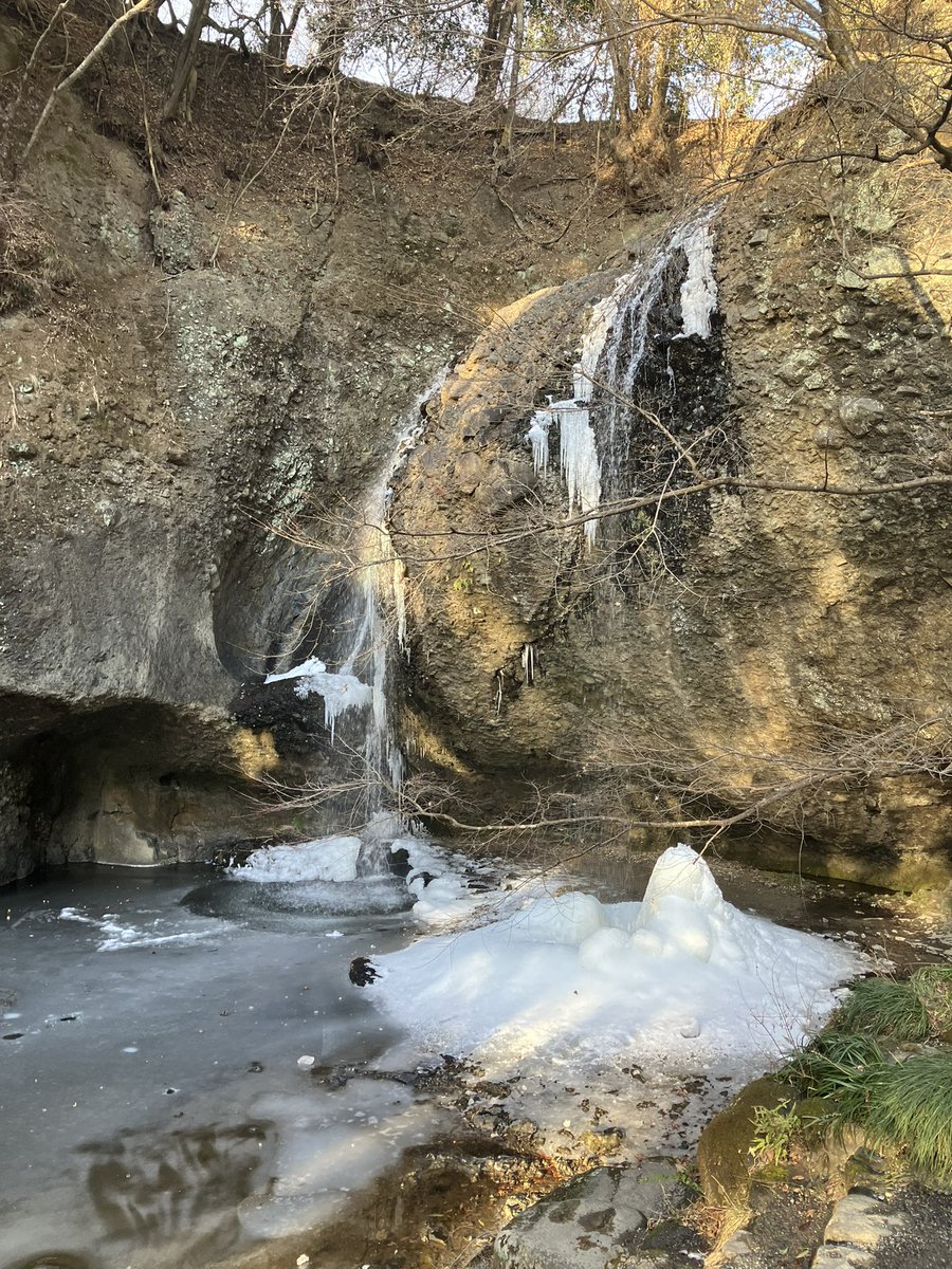 本日のお通し！明日から常陸国ロングトレイル