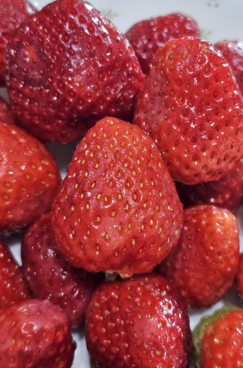 positive_mxxn's tweet photo. 딸기가 너무 좋아 딸기 딸기 사랑해
♪~ ᕕ( ᐛ )ᕗ 🍓🍓🍓🍓🍓
🍓🍓🍓🍓🍓ヾ(◍’౪`◍)ﾉﾞ♡ https://t.co/DpzOFIXKbB
