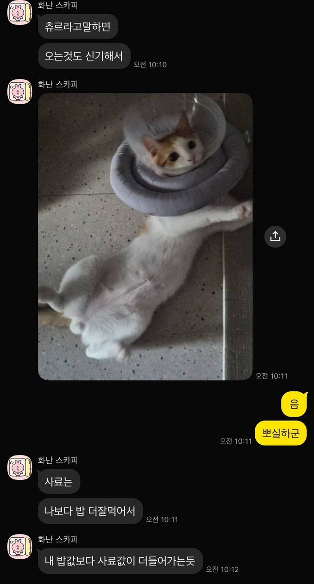 김레노/Reno Kim (@stridingreno) on Twitter photo 