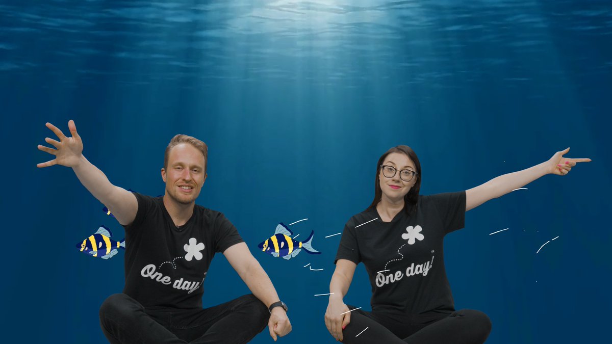 One Day Creative tweet media