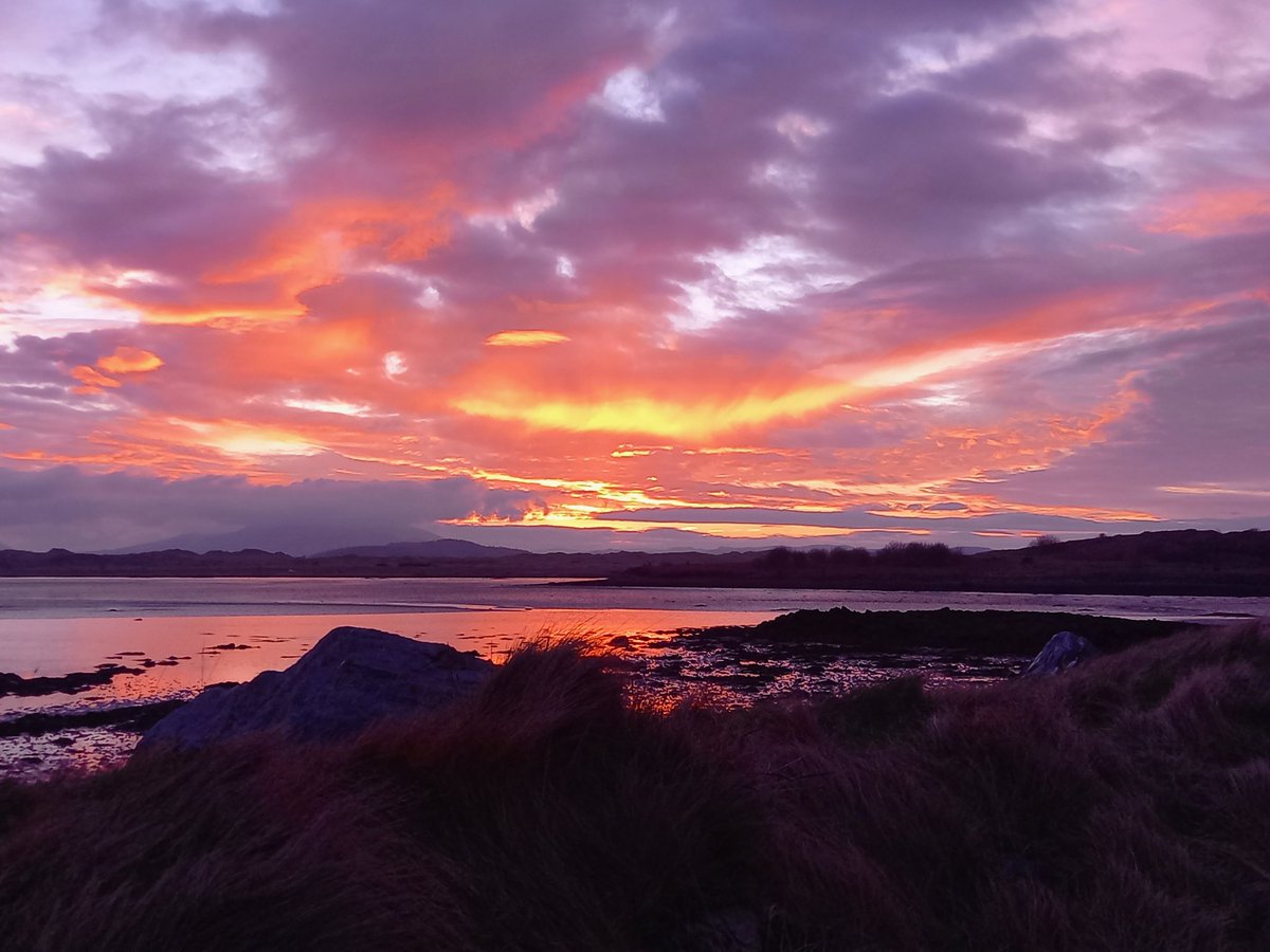 Ivan Gerard tweet media