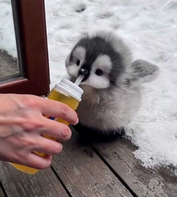 도롱(꾼) (@dorong_89) on Twitter photo 