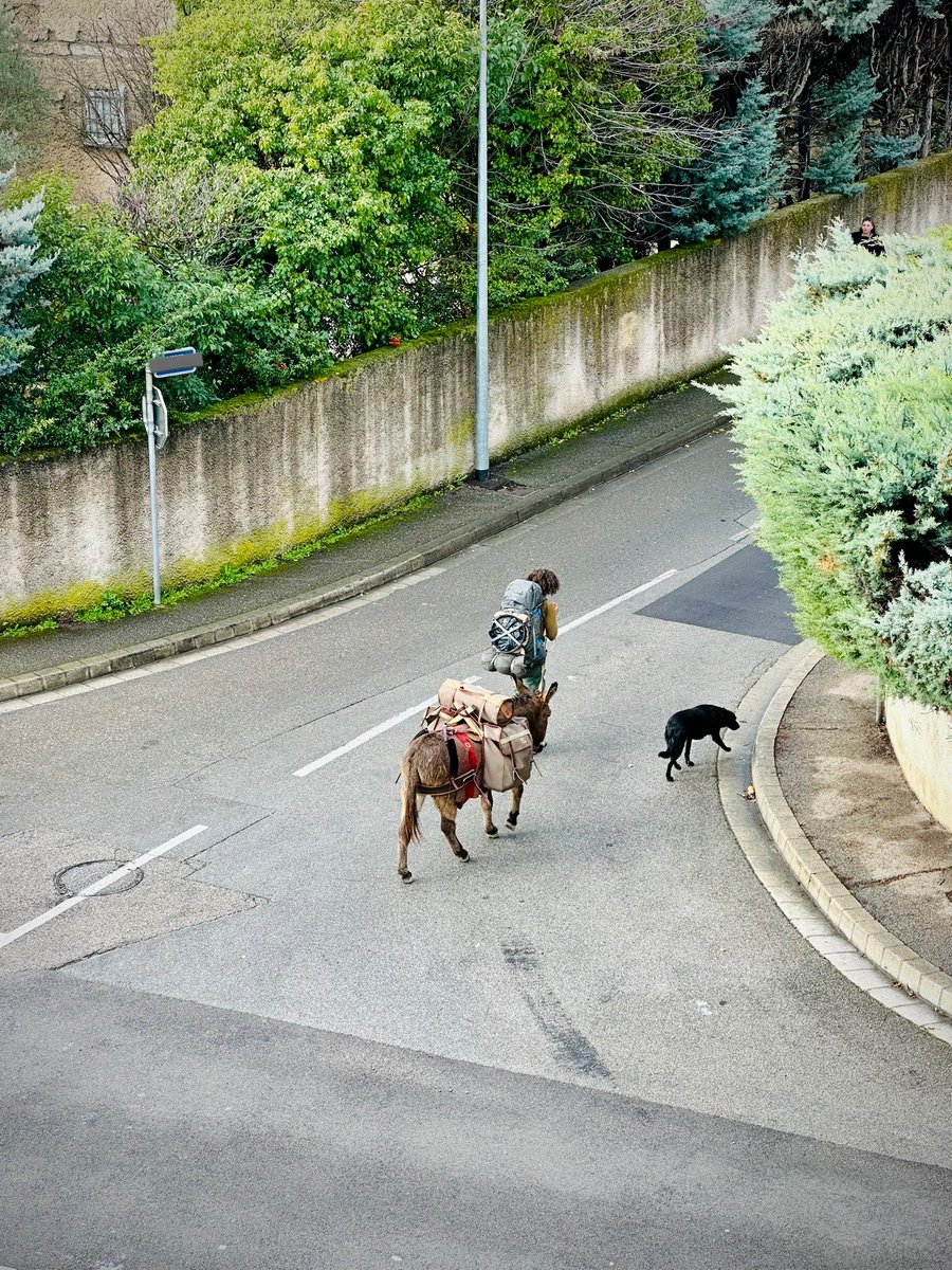 nowhereryan's tweet image. 봇짐을 진 당나귀, 검은 개와 함께 이동하는 여행자를 보았다. 브레멘 음악대인 줄… 오늘도 평화로운 불란서.