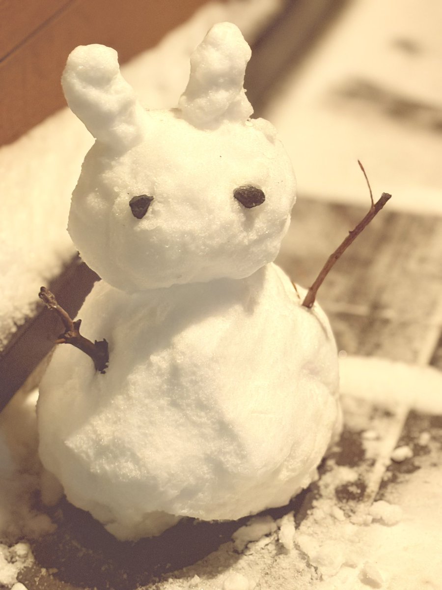 郵便屋さんのおじさんが
「雪だるまかわいいですねー」って
言ってくれたのが左。

1ヶ月前の作りたてほやほやの雪だるまが右。

おじさんのかわいいの基準が分からない。

うさぎの時に言って欲しかったよ。
もはや溶けてしぼんでETだよ…