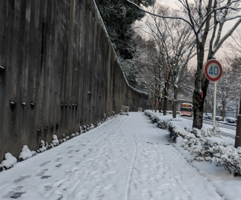 SSS_Rish's tweet photo. Walking in the snow ❄ https://t.co/sgp8RjRKB7