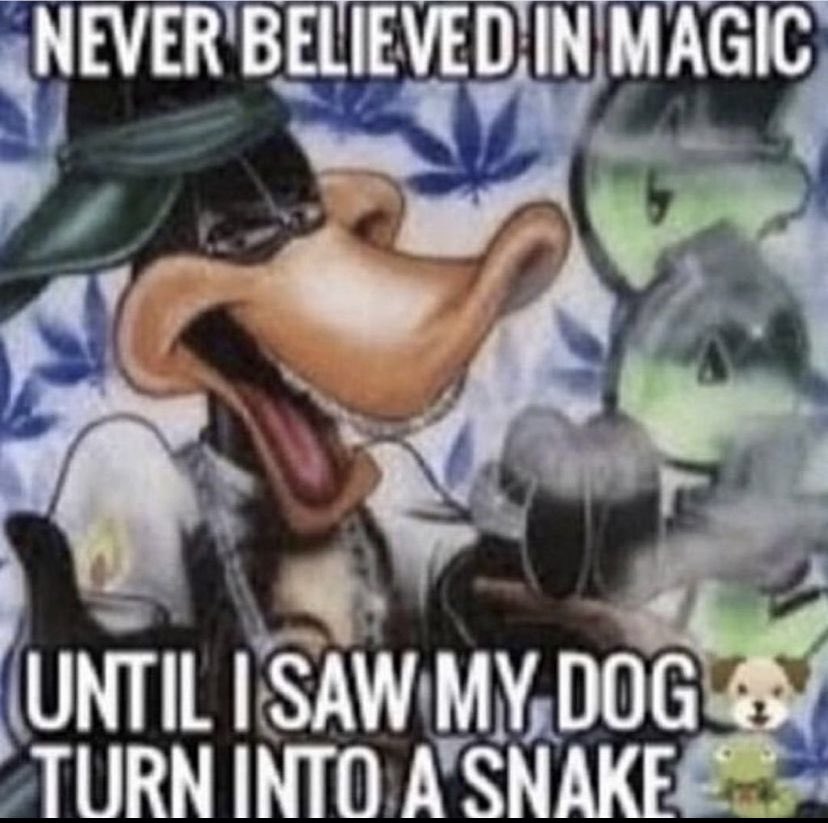 shitposts i found in my attic tweet media