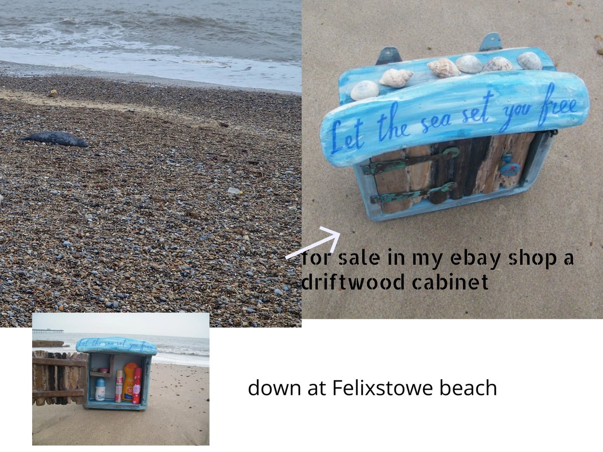jonnyald's tweet photo. down at Felixstowe beach #happyseal #shingle #crunching #sounds #art #project #ocean #connections #lifesgreat #suffolk #coast https://t.co/9pyVcPD2vQ