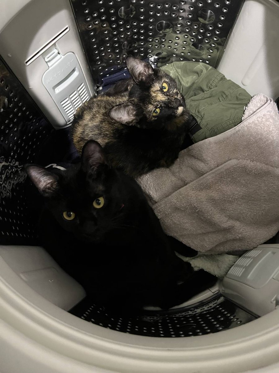 かずまる (@kazmaru_son) / Posts / X