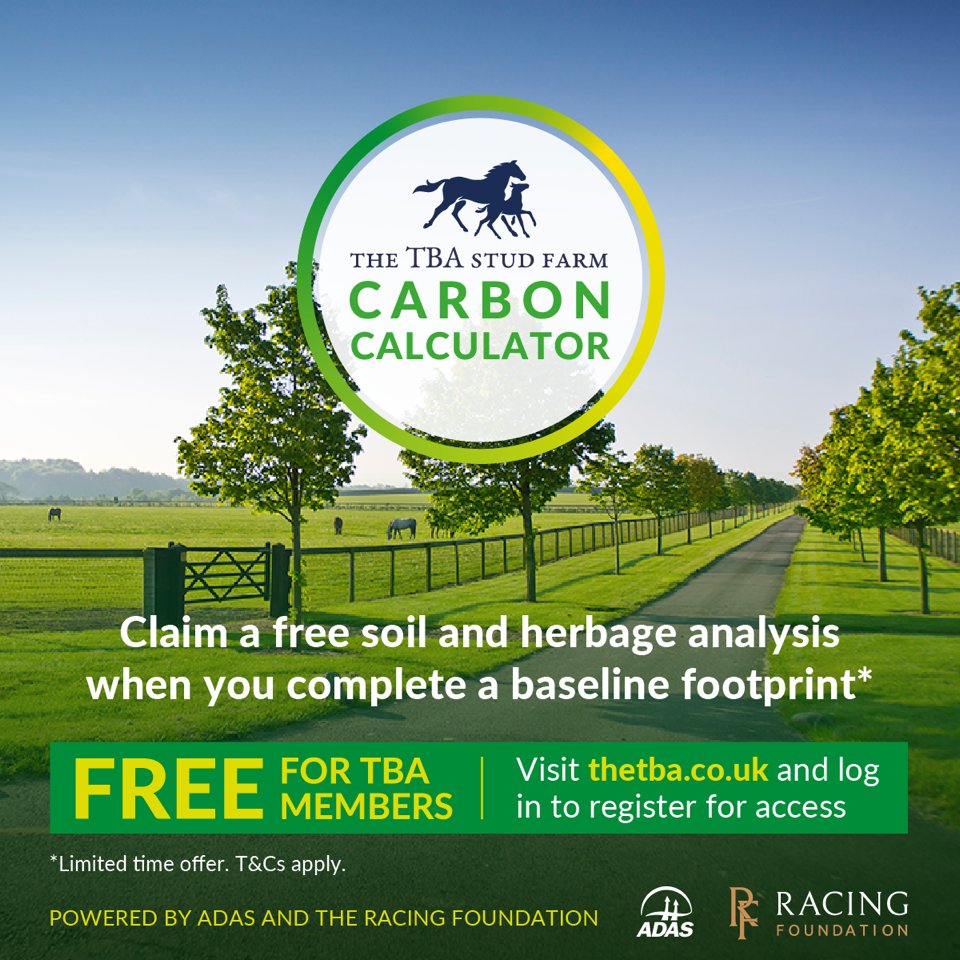 The Thoroughbred Breeders’ Association (The TBA) tweet media